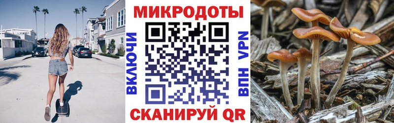 Псилоцибиновые грибы мухоморы  где продают наркотики  Щёлкино 